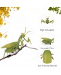 Remote Control Mantis Simulated Insect Toys Infrared Sensing Portable RC Toy for Kids Gift