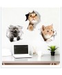 Vivid 3D Cat Wall Sticker