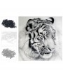 NAIYUE 12 * 12 inches / 30 * 30cm DIY 5D Diamond Painting Kit White Tiger Pattern Rhinestone Mosaic Embroidery Cross Stitch Craft Home Wall Decor