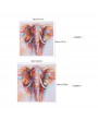 50 * 50cm HD Printed Frameless Elephant Head Canvas Painting Wall Art Pictures Decor for Home Living Room Bedroom