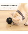 Xiaomi Pet Automatic Leaking Food Dog Vocal Ball