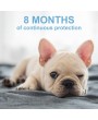 Flea Collar Dogs 8-month Flea and Tick Prevention for Dogs 3 Months of Age and Older 3 PACK
