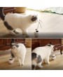 3 IN 1 Cat Interactive Rotating Tumbler Ball