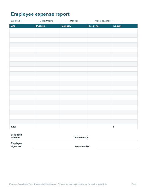 Preview of the first page of Expense report (XLSX/PDF)